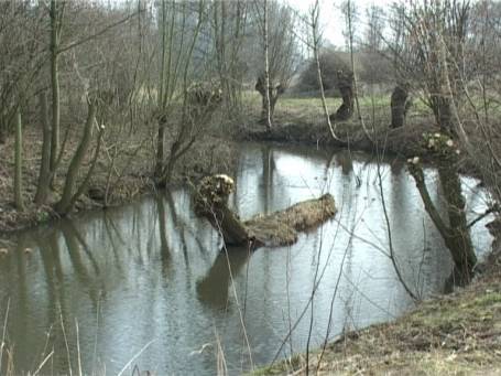 Museum Insel Hombroich : Im Frühjahr